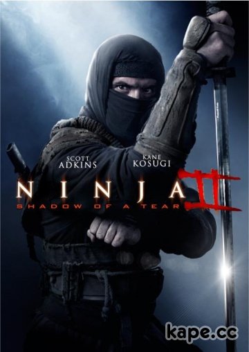 Смотреть онлайн Ниндзя 2 / Ninja: Shadow of a Tear (2013)
